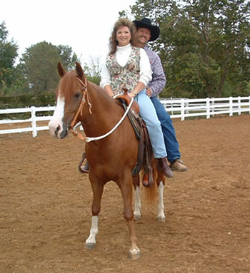horse trainer, horse training